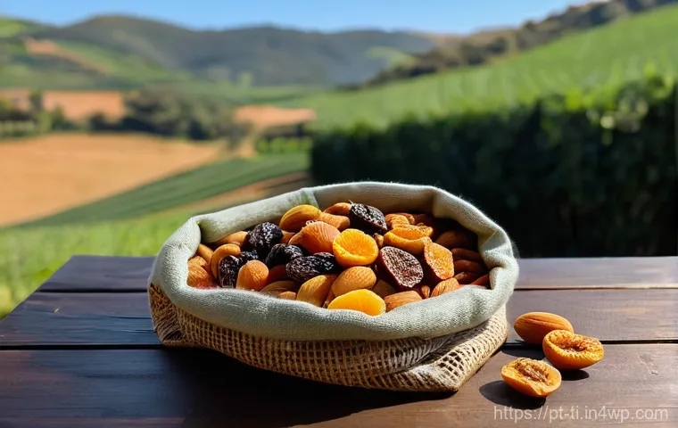건조 식품을 이용한 다이어트 식단 구성 - **Vibrant Healthy Snack Mix in a Portuguese Countryside Setting:**
A beautifully composed close-...