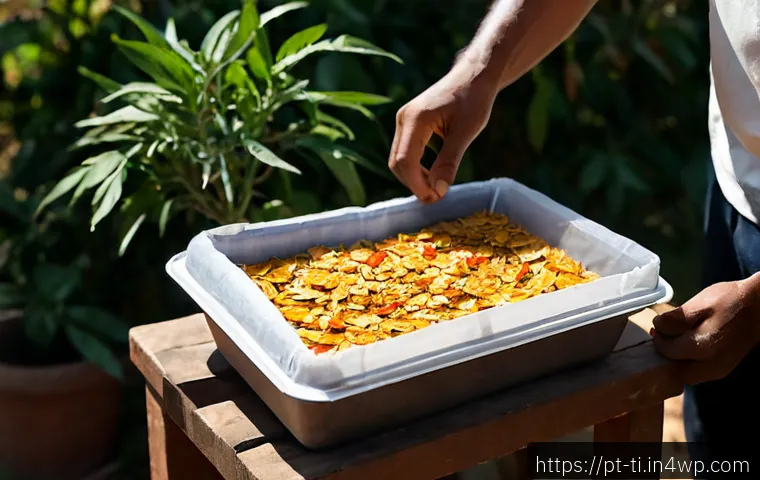 Como Criar Alimentos Desidratados Inspirados na Natureza: Métodos, Segurança e Escolha de Equipamento 3 자연에서 영감을 받은 건조 식품 제조법 관련 이미지 1